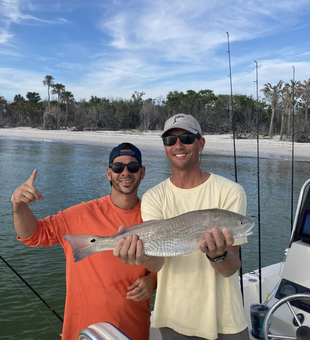 Redfish Bliss In Naples